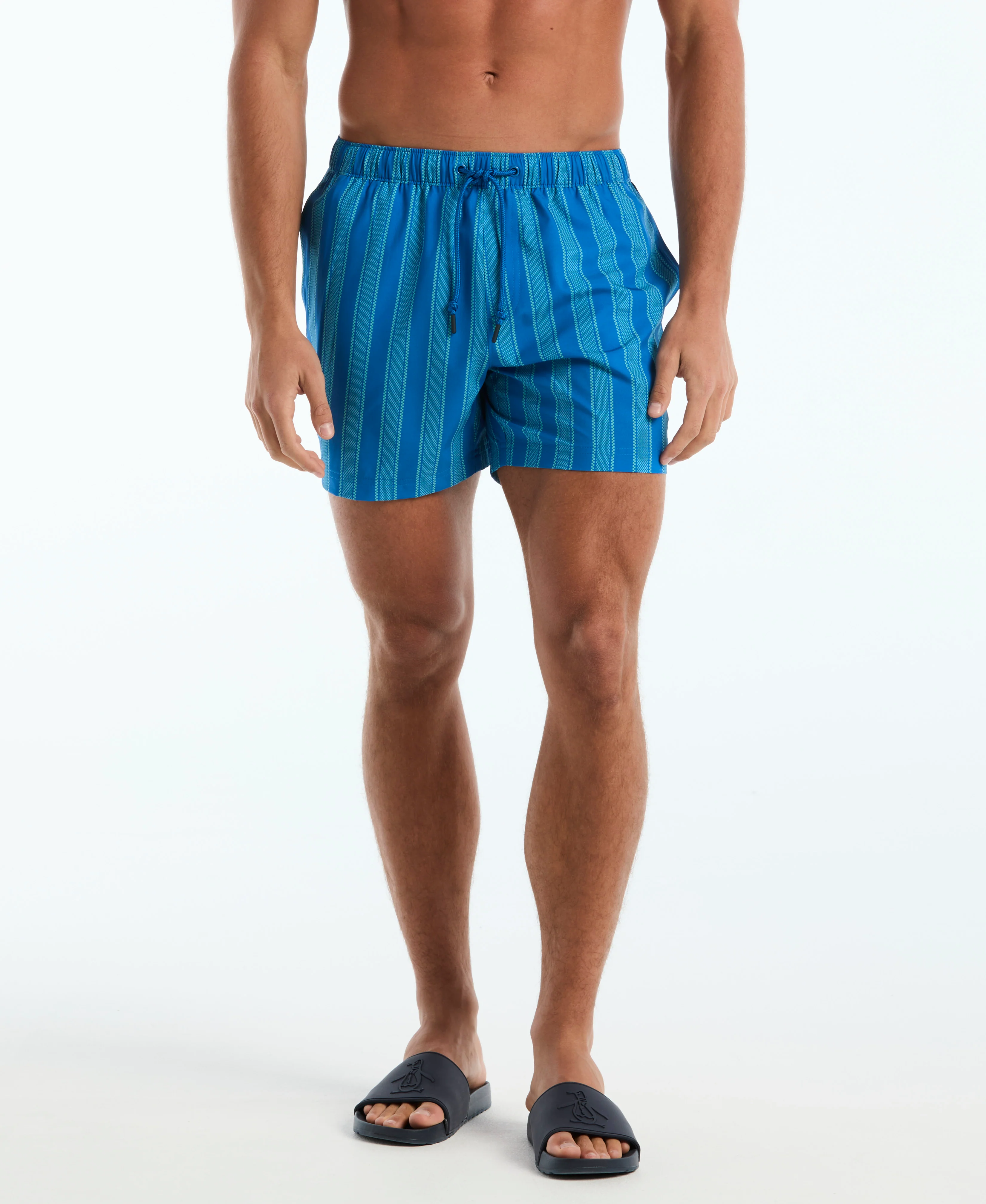5" Vert Stripes Box Swim Short - Image 3