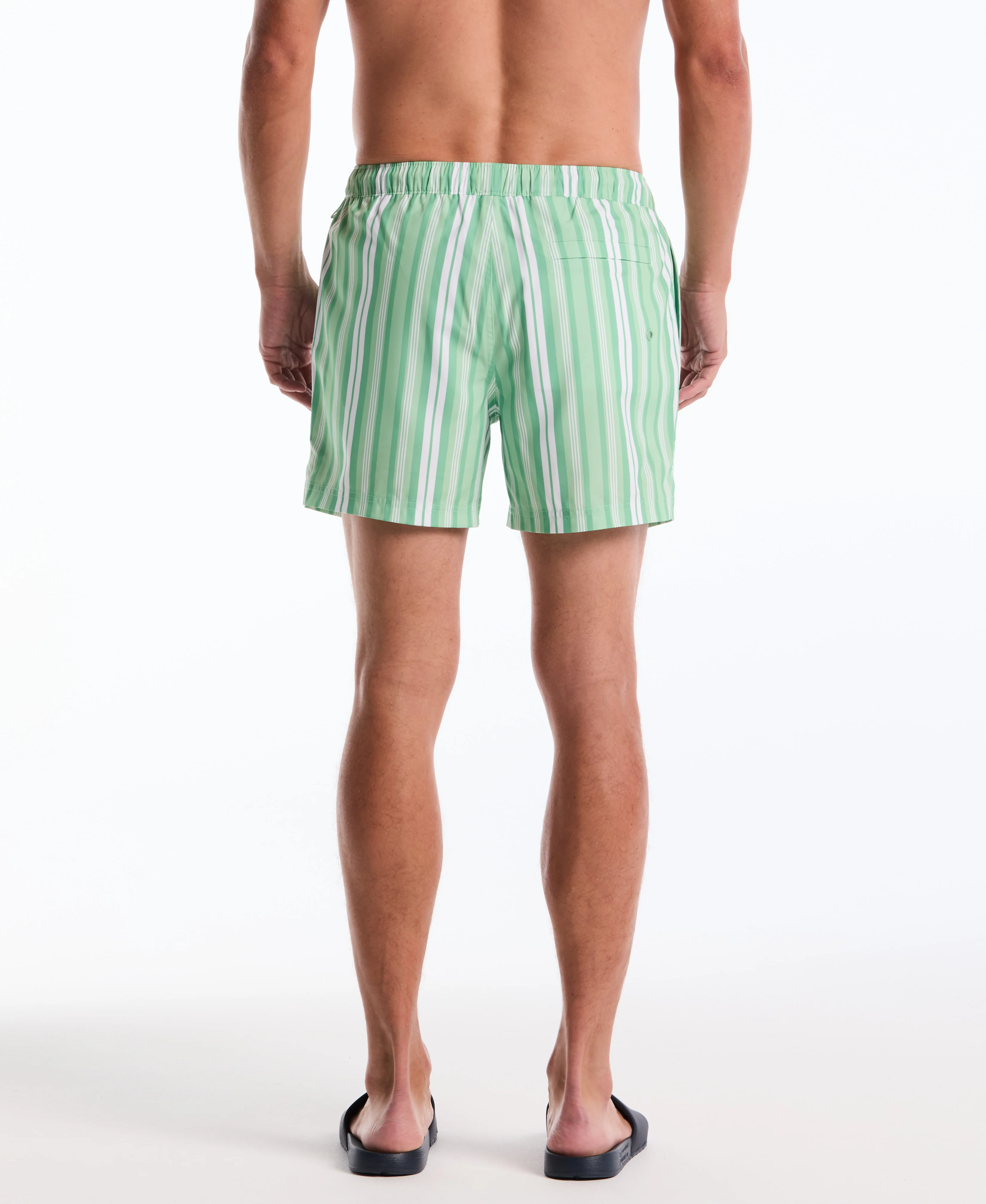 5" Vert Stripes Swim Short - Image 2