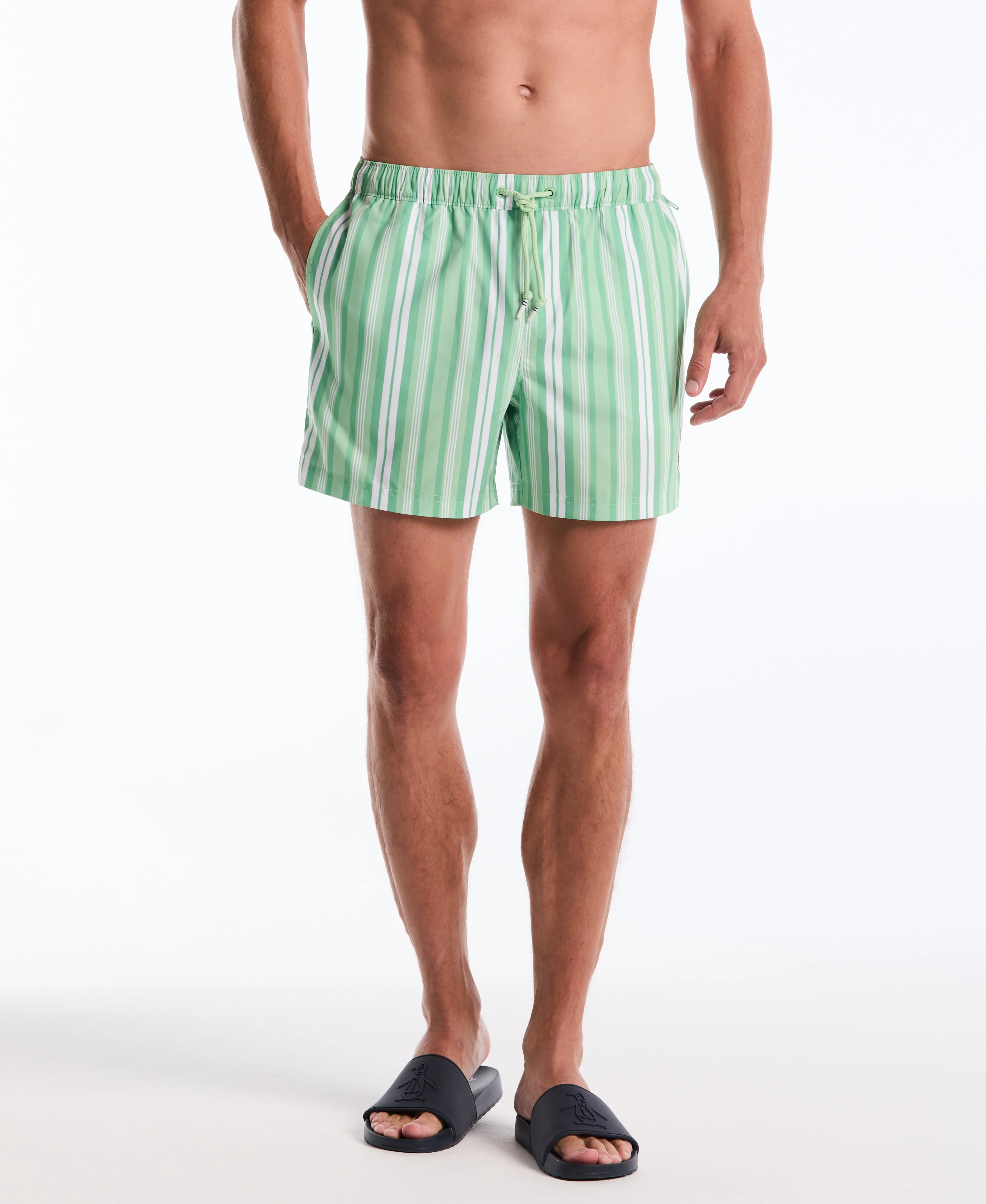5" Vert Stripes Swim Short - Image 3