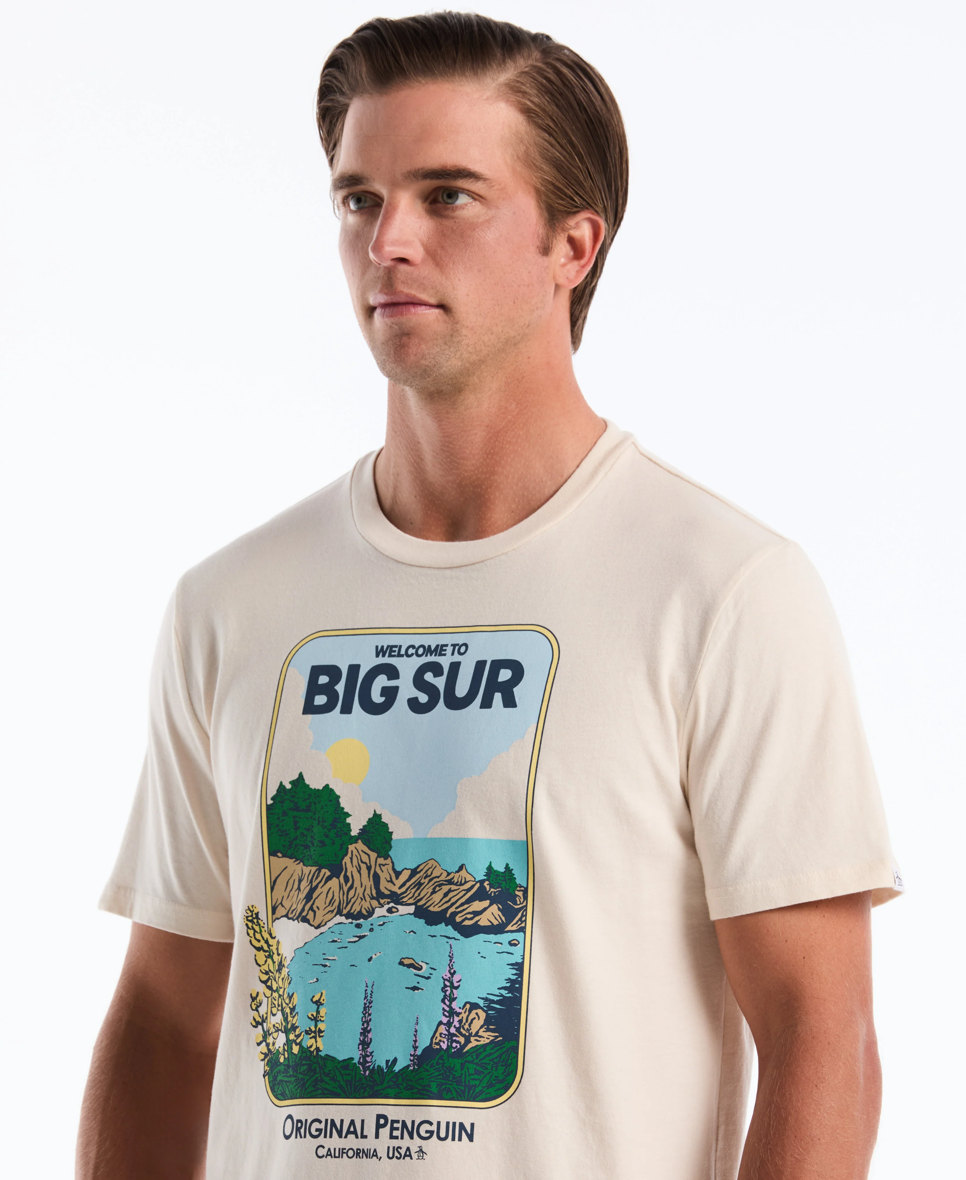 Big Sur Graphic Tee - Image 3