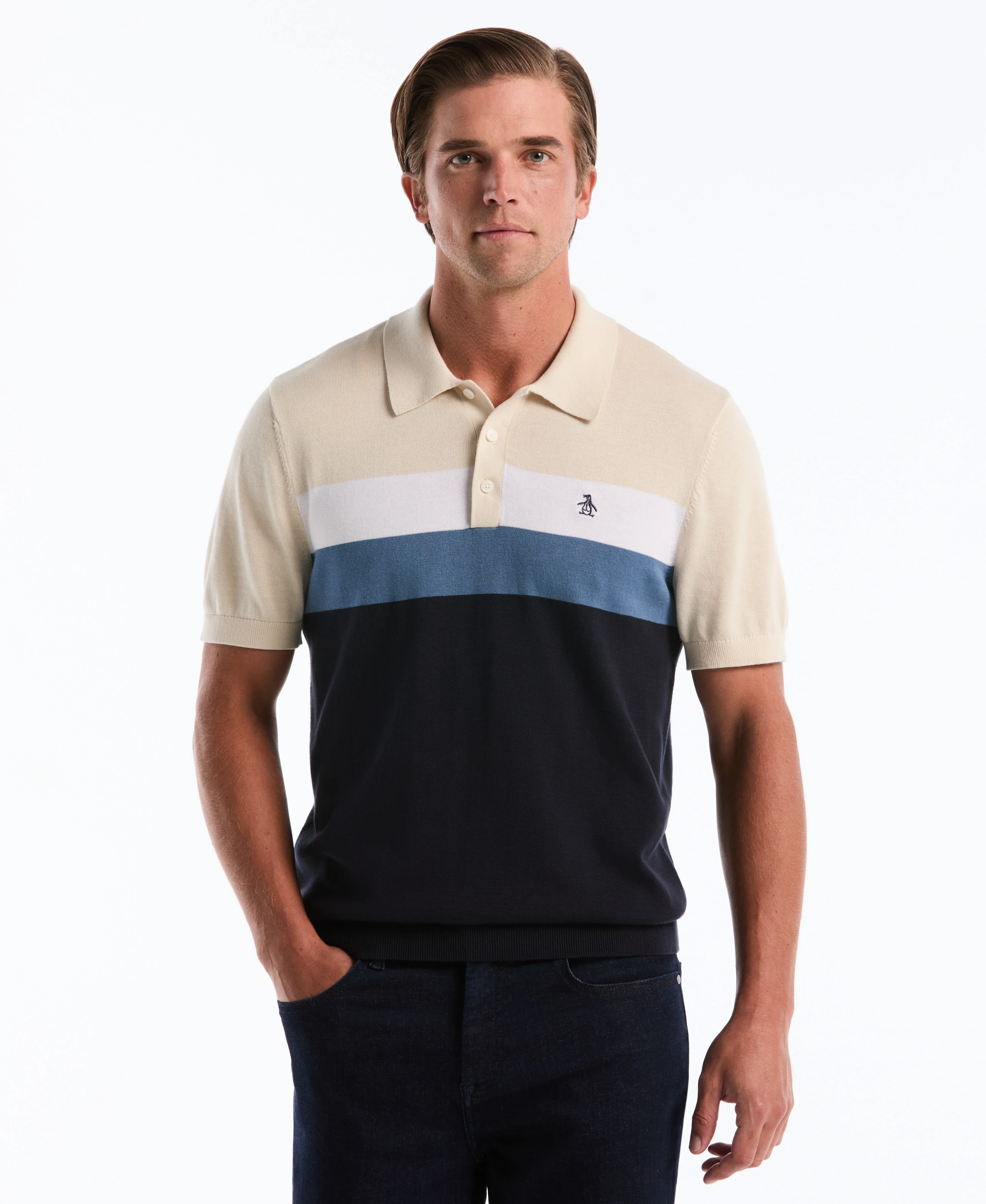 Chest Stripe Sweater Polo - Image 9