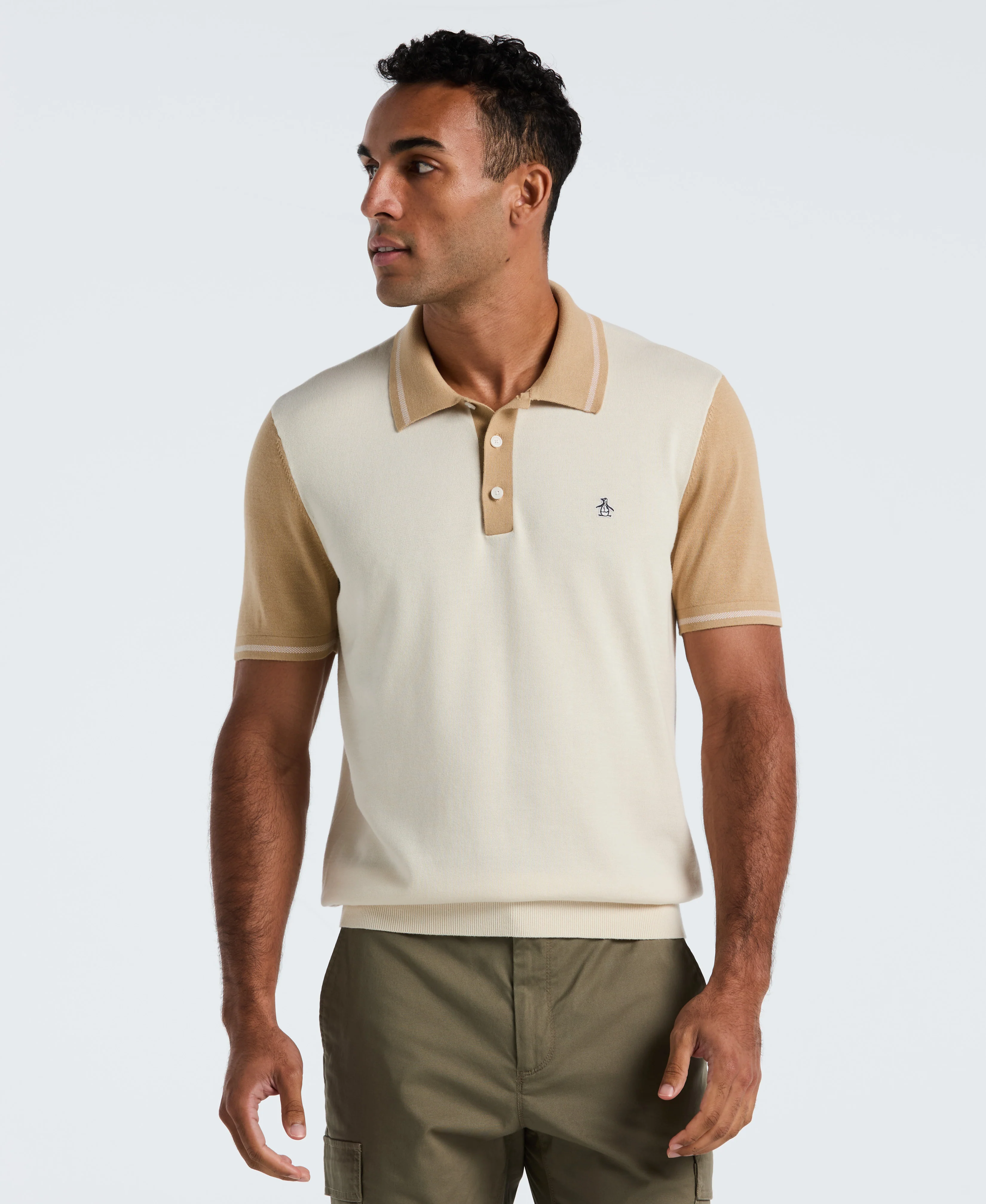 Cotton Colorblock Sweater Polo - Image 5