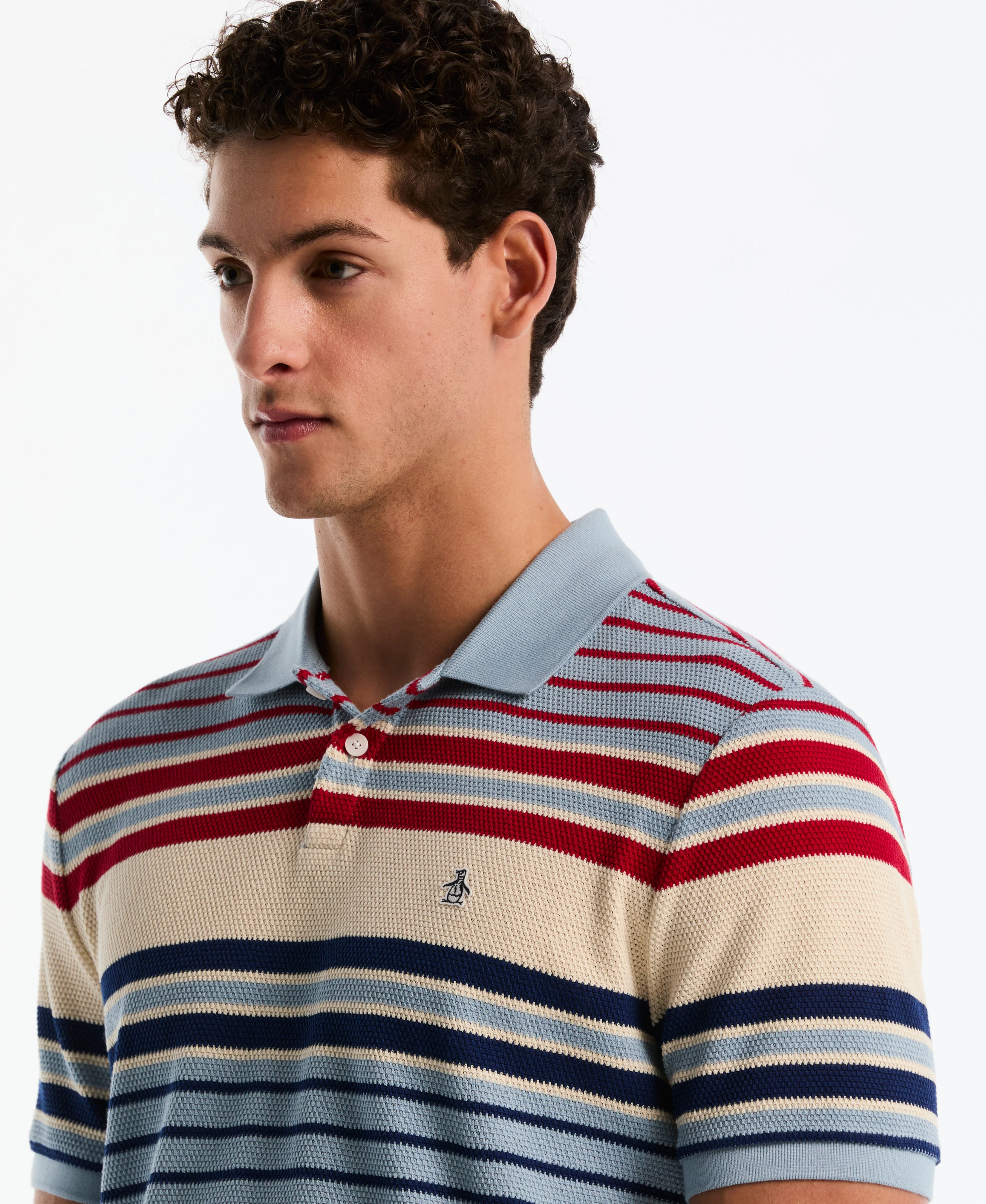 Crochet Engineered Stripe Polo - Image 3