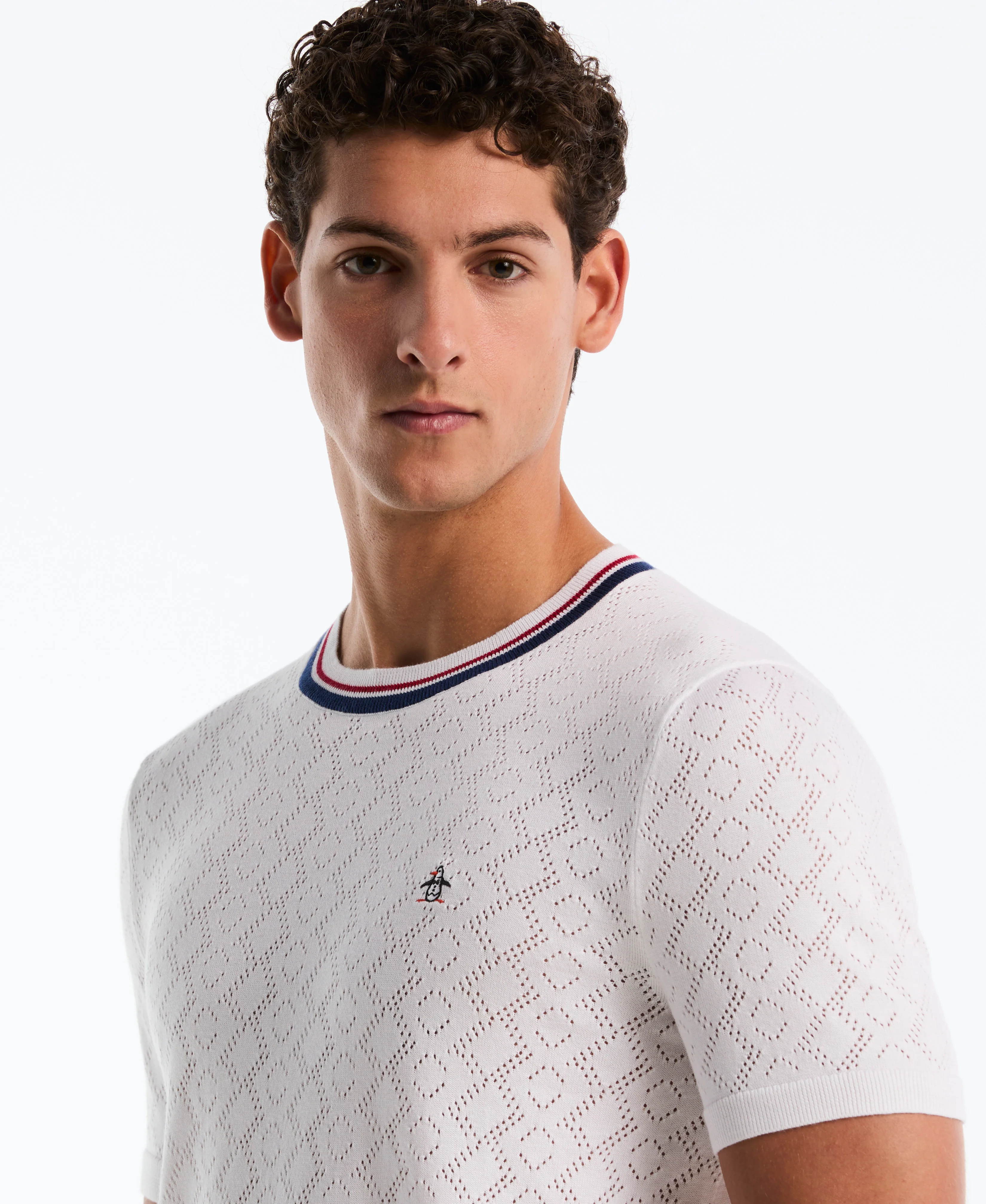 Jacquard Geometric Eyelet Sweater Tee - Image 5