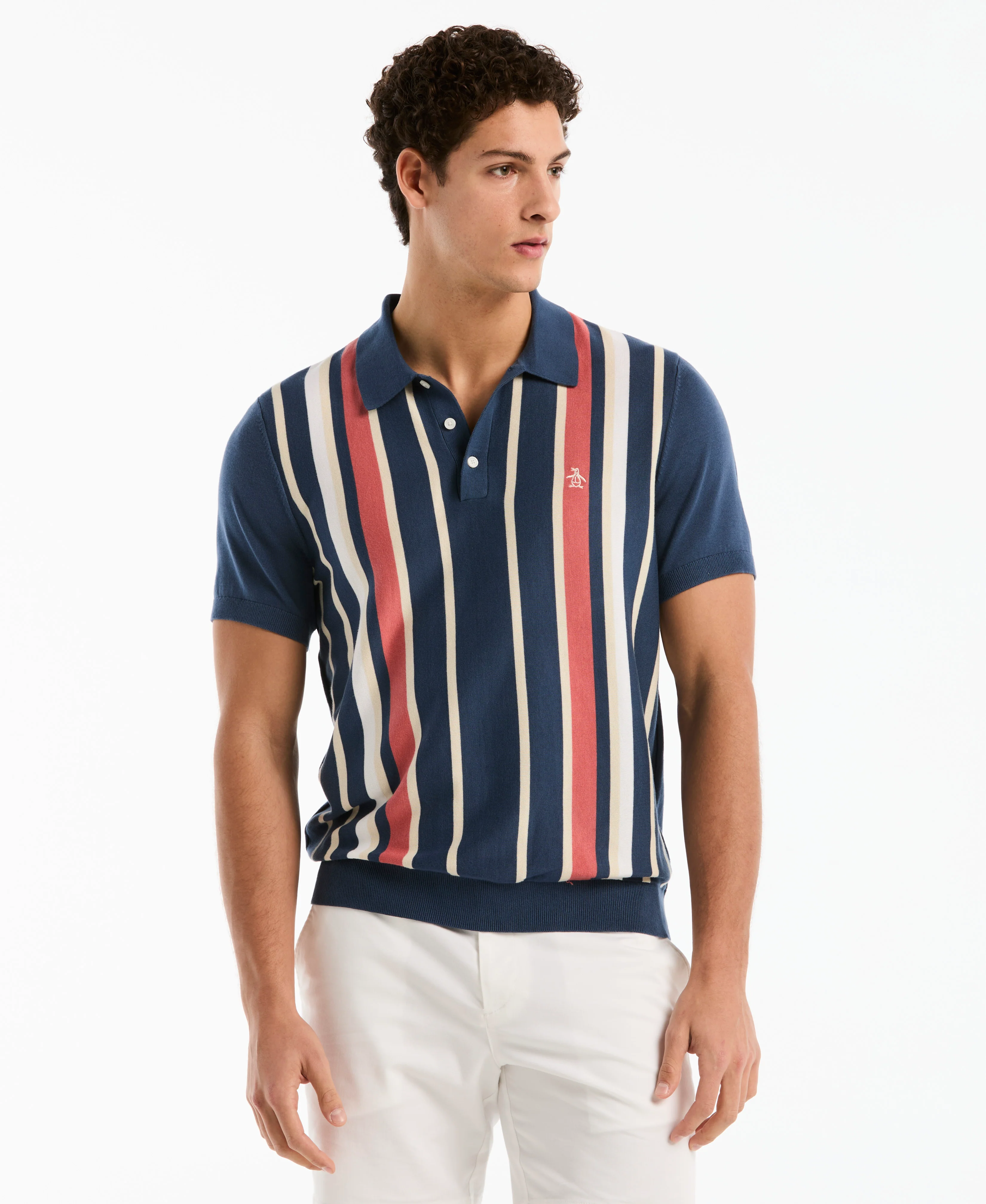Vertical Color Stripe Sweater Polo