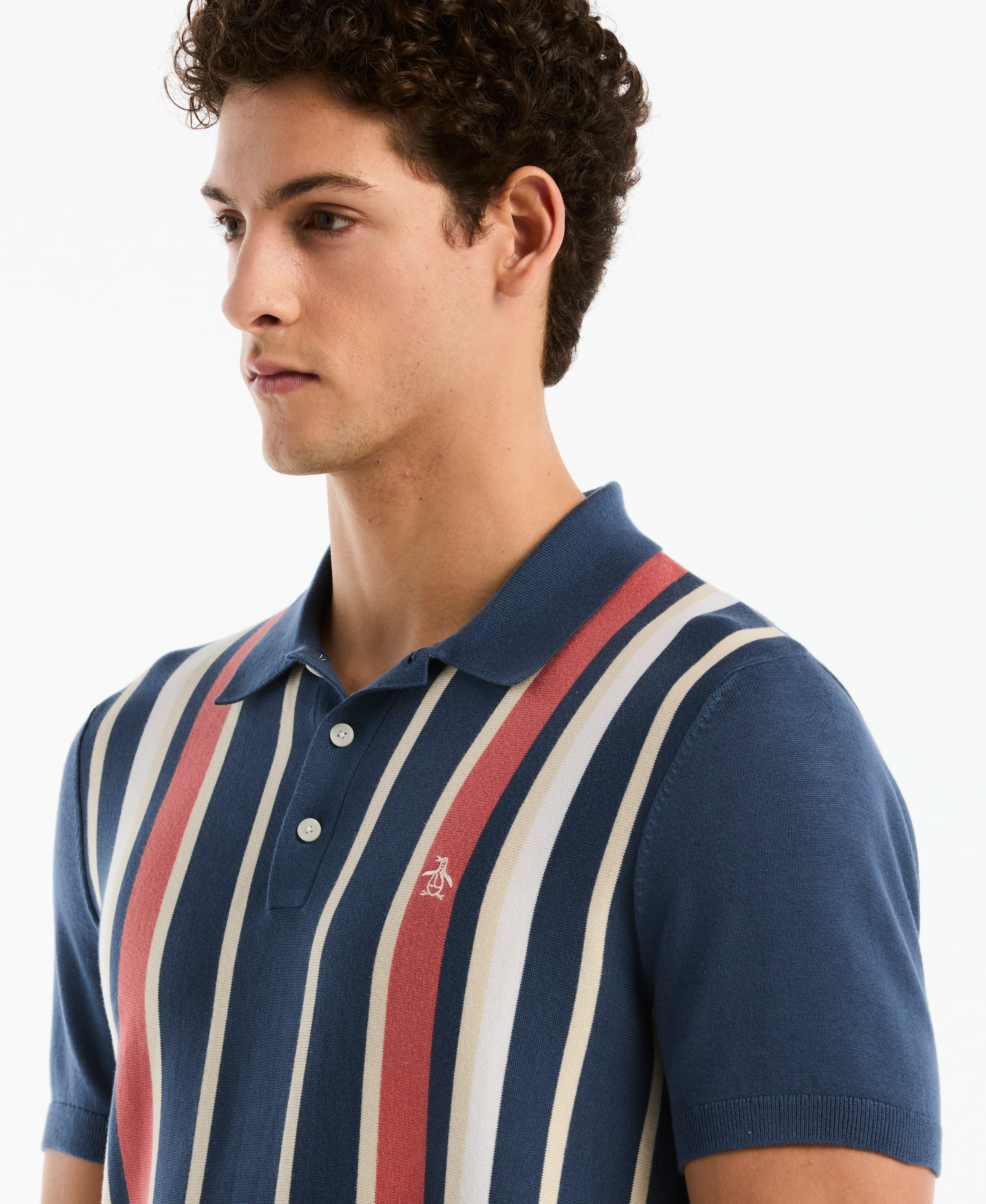 Vertical Color Stripe Sweater Polo - Image 3