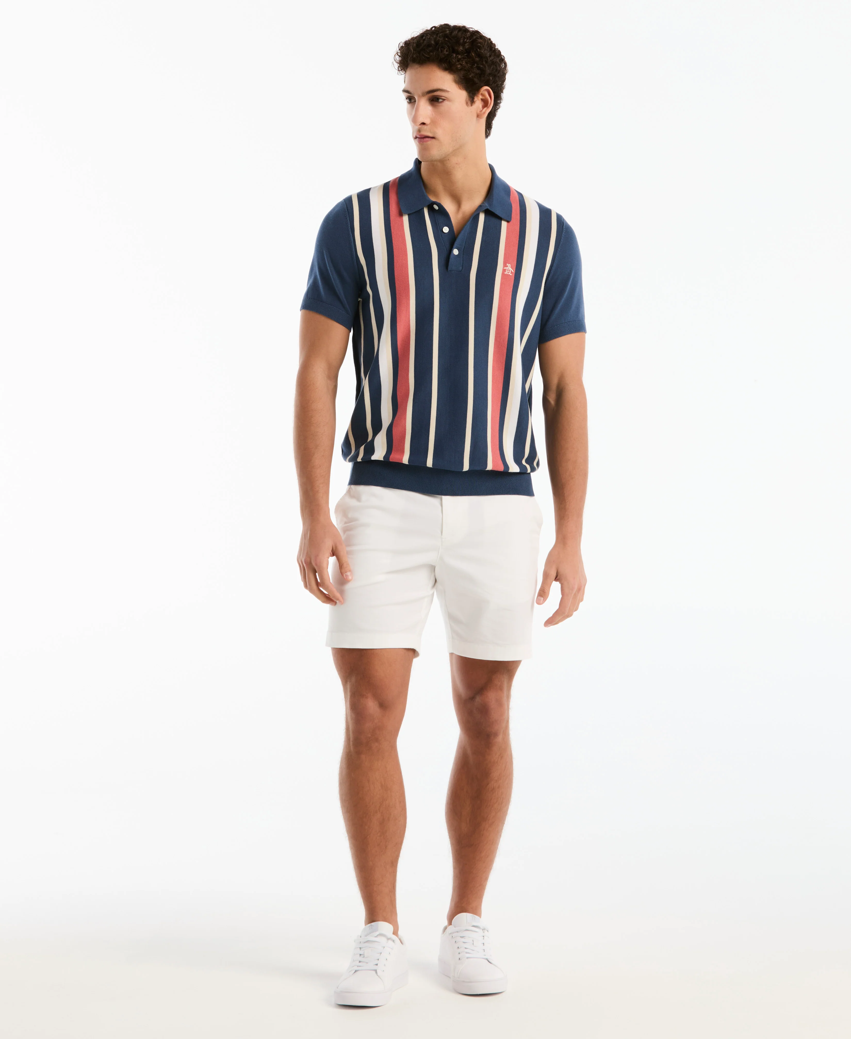 Vertical Color Stripe Sweater Polo - Image 4