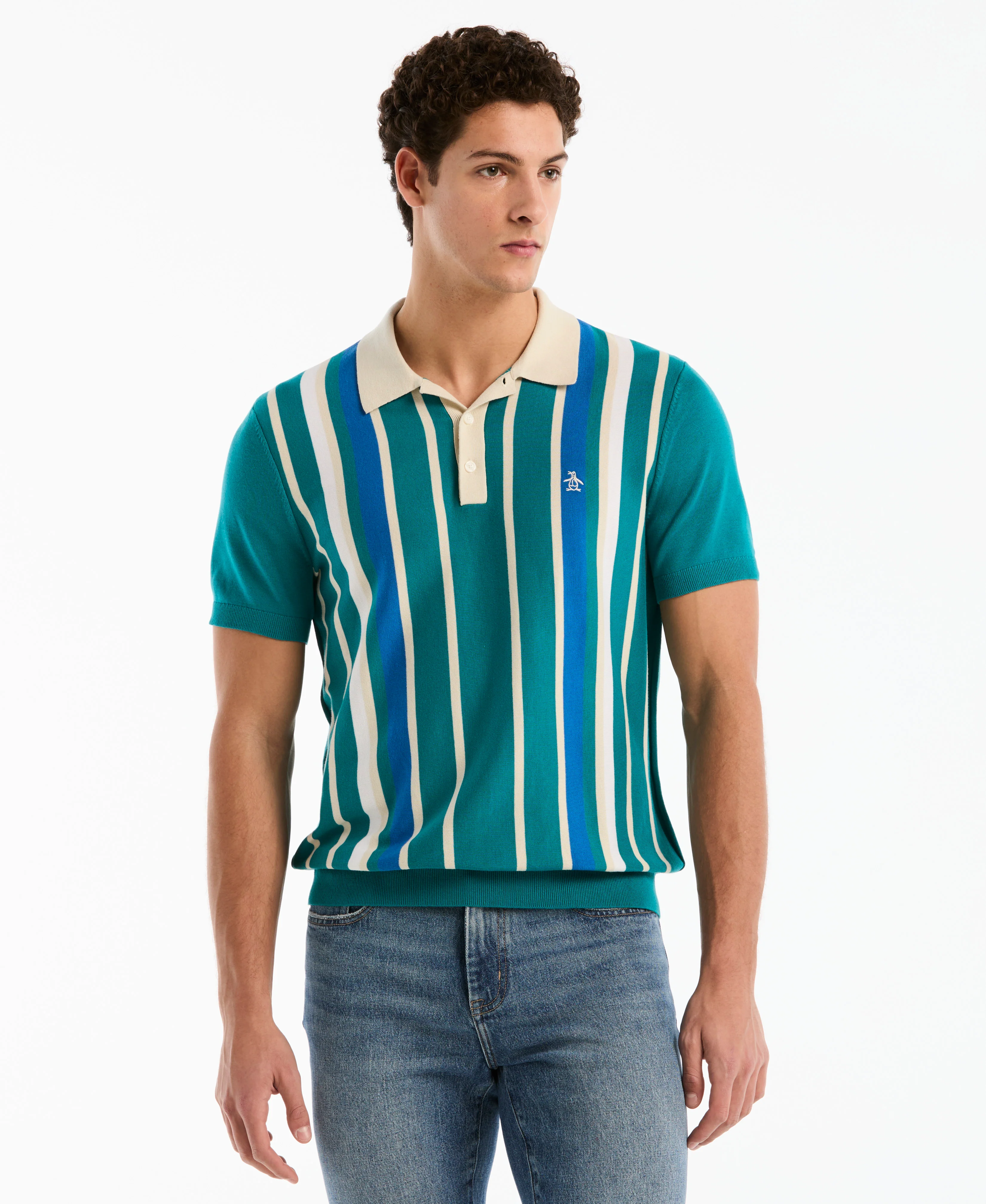 Vertical Color Stripe Sweater Polo - Image 6