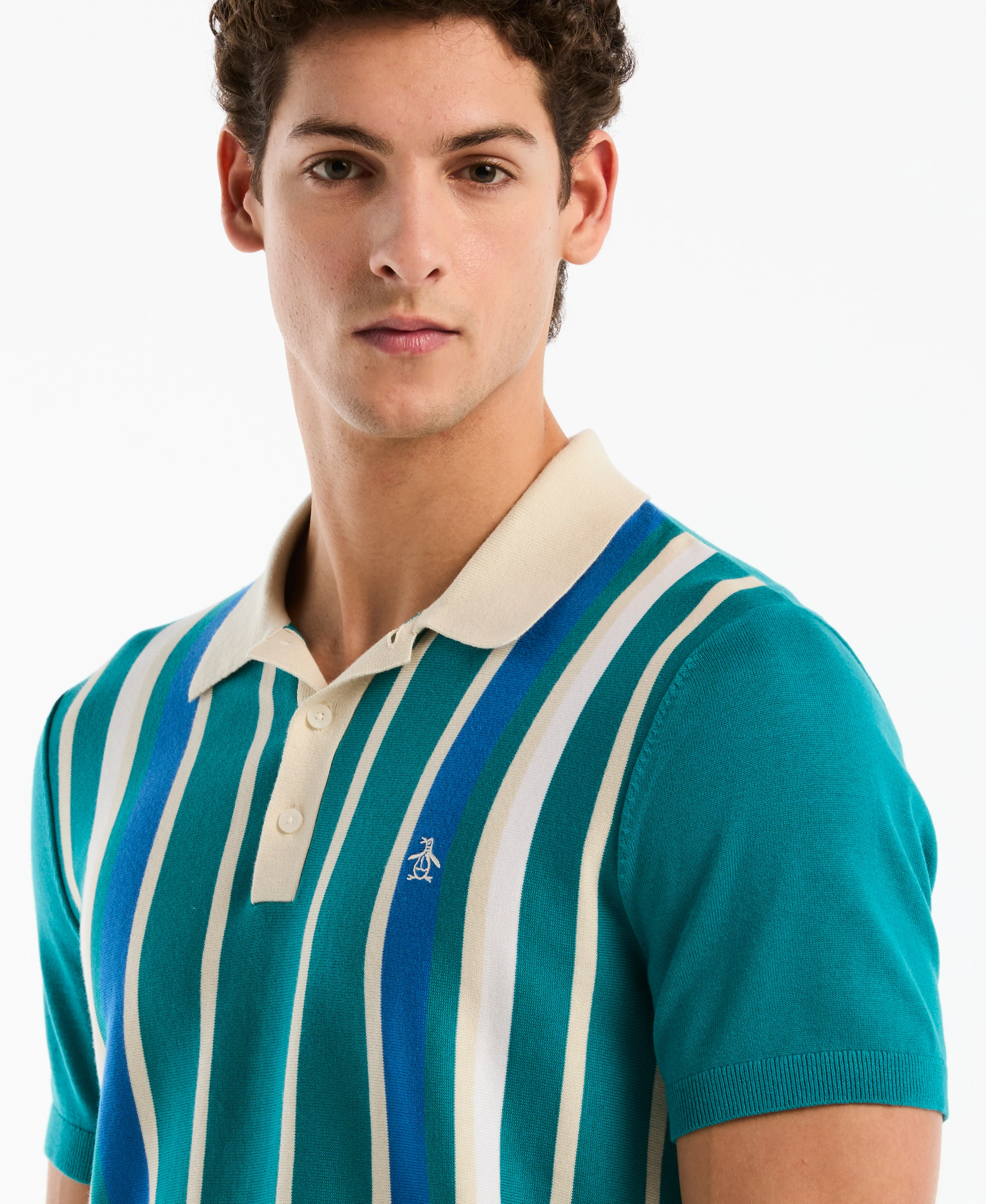 Vertical Color Stripe Sweater Polo - Image 8