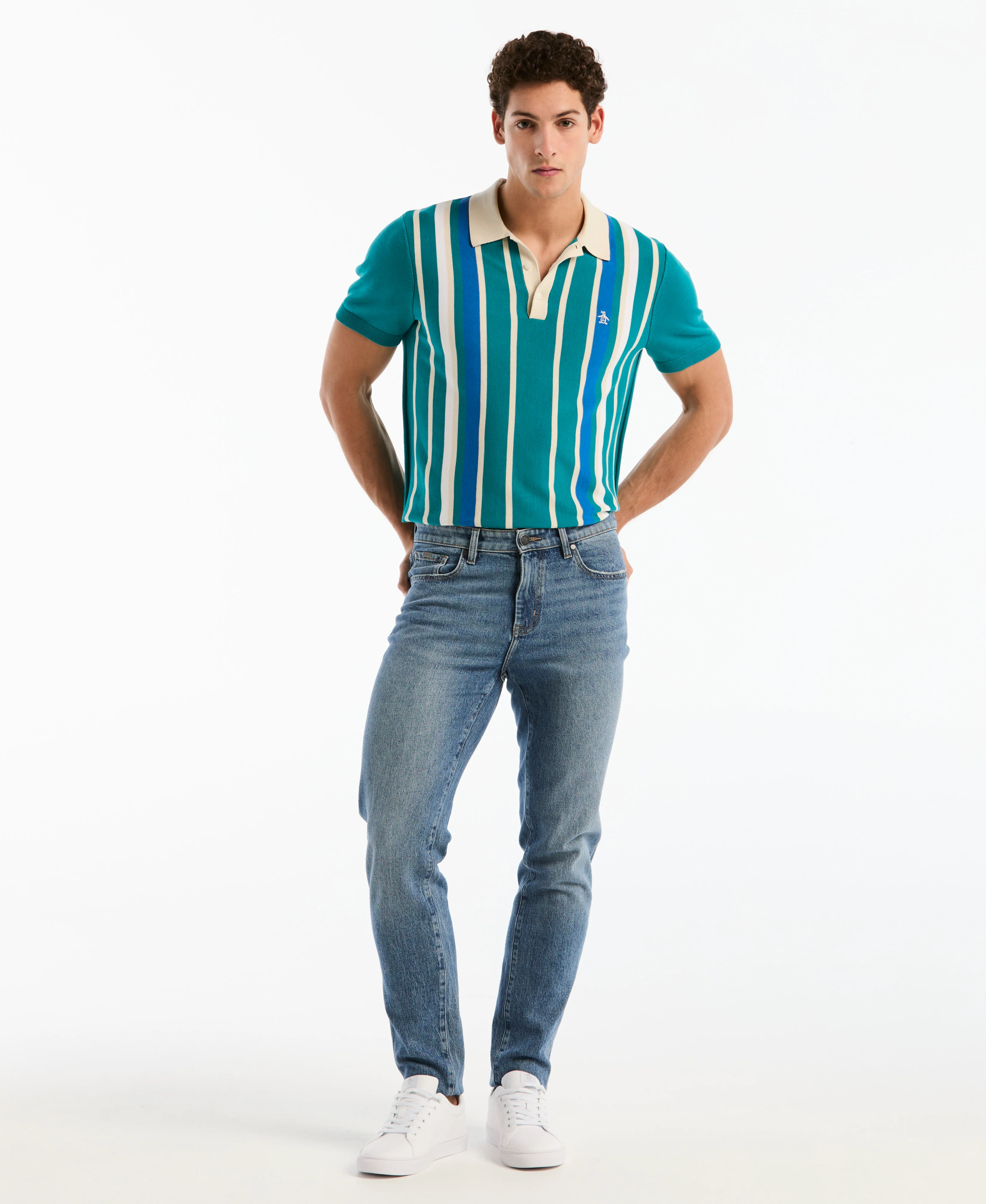 Vertical Color Stripe Sweater Polo - Image 9