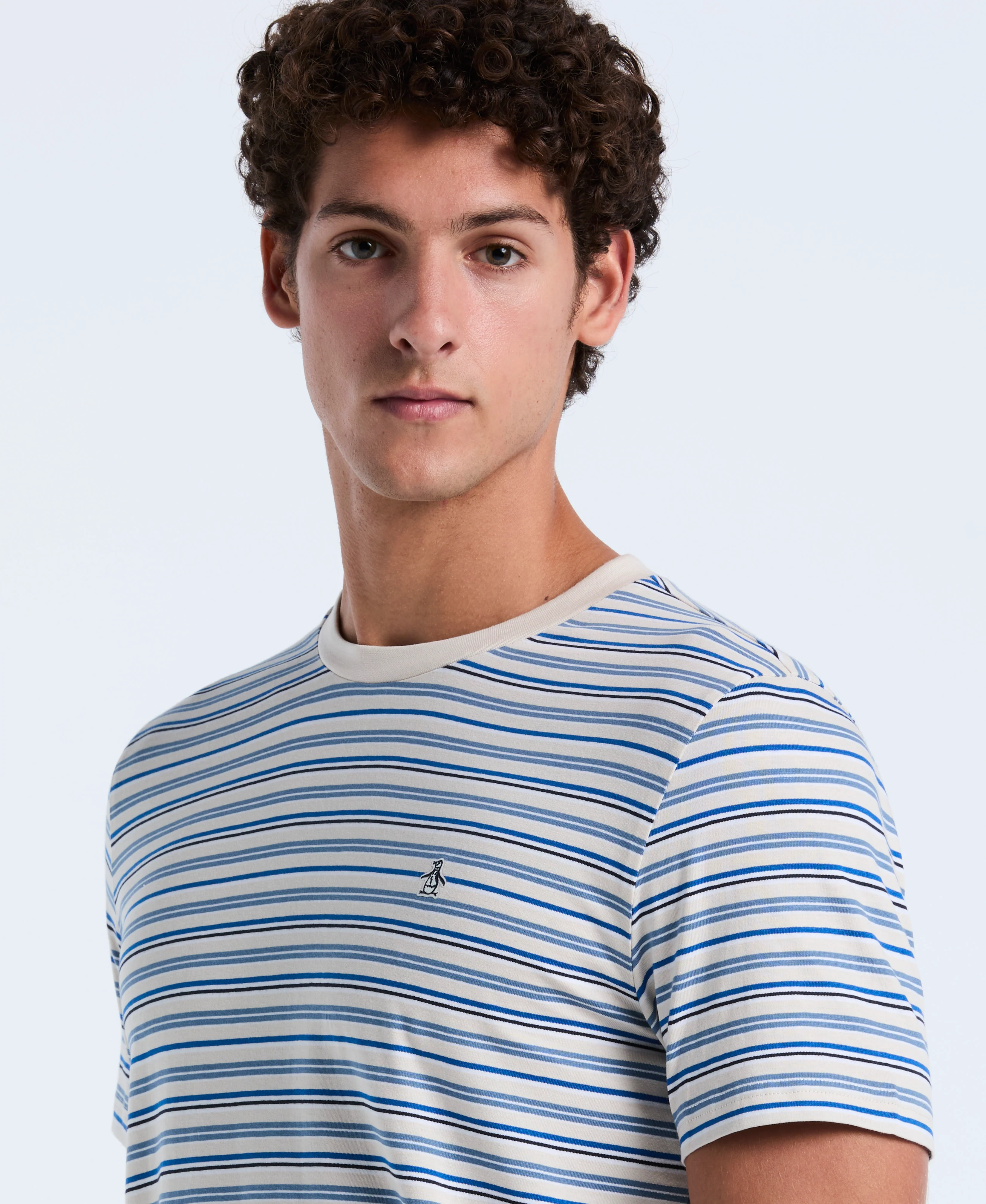 Cotton Yarn-Dyed Stripe Tee - Image 4