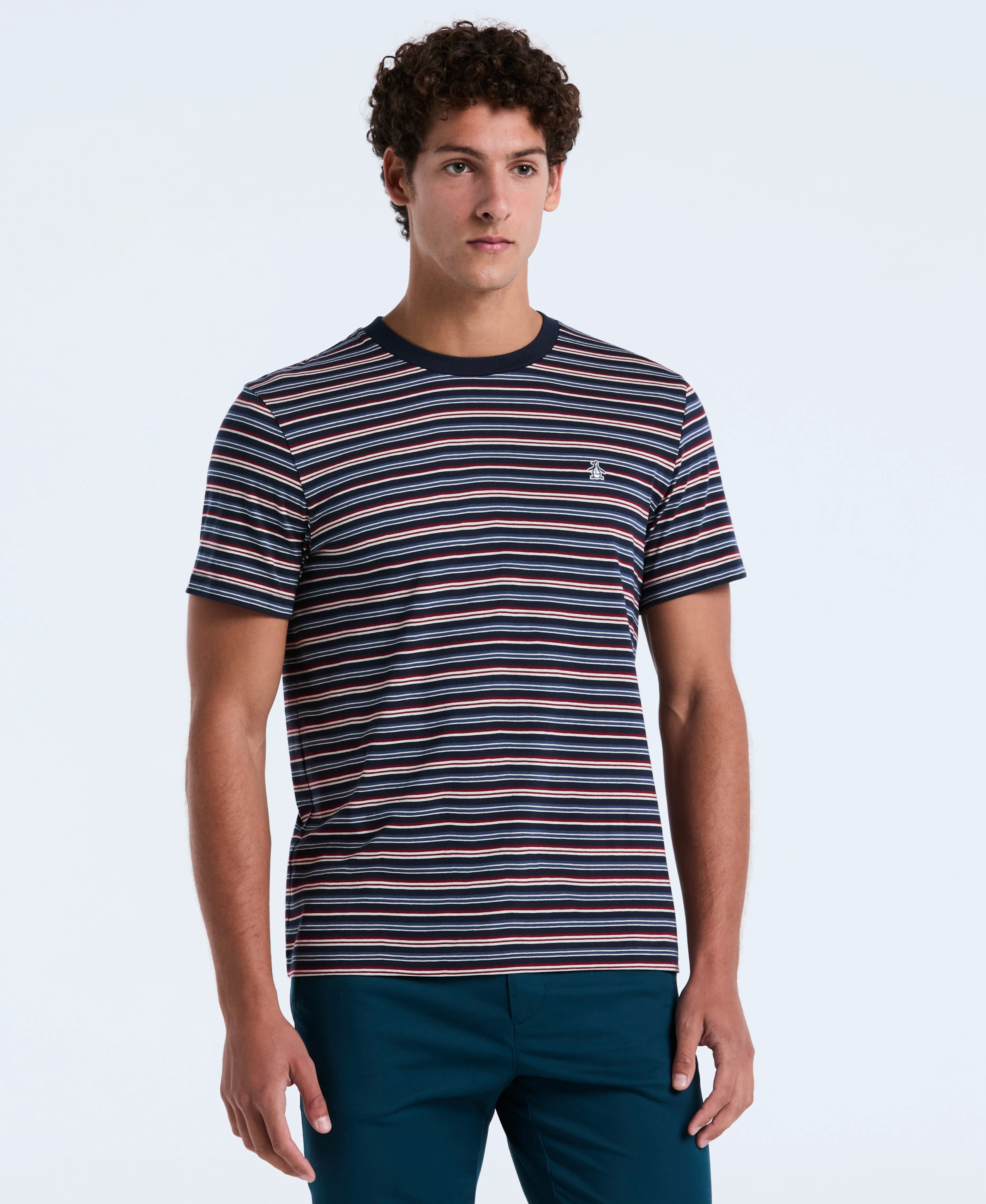 Cotton Yarn-Dyed Stripe Tee - Image 5