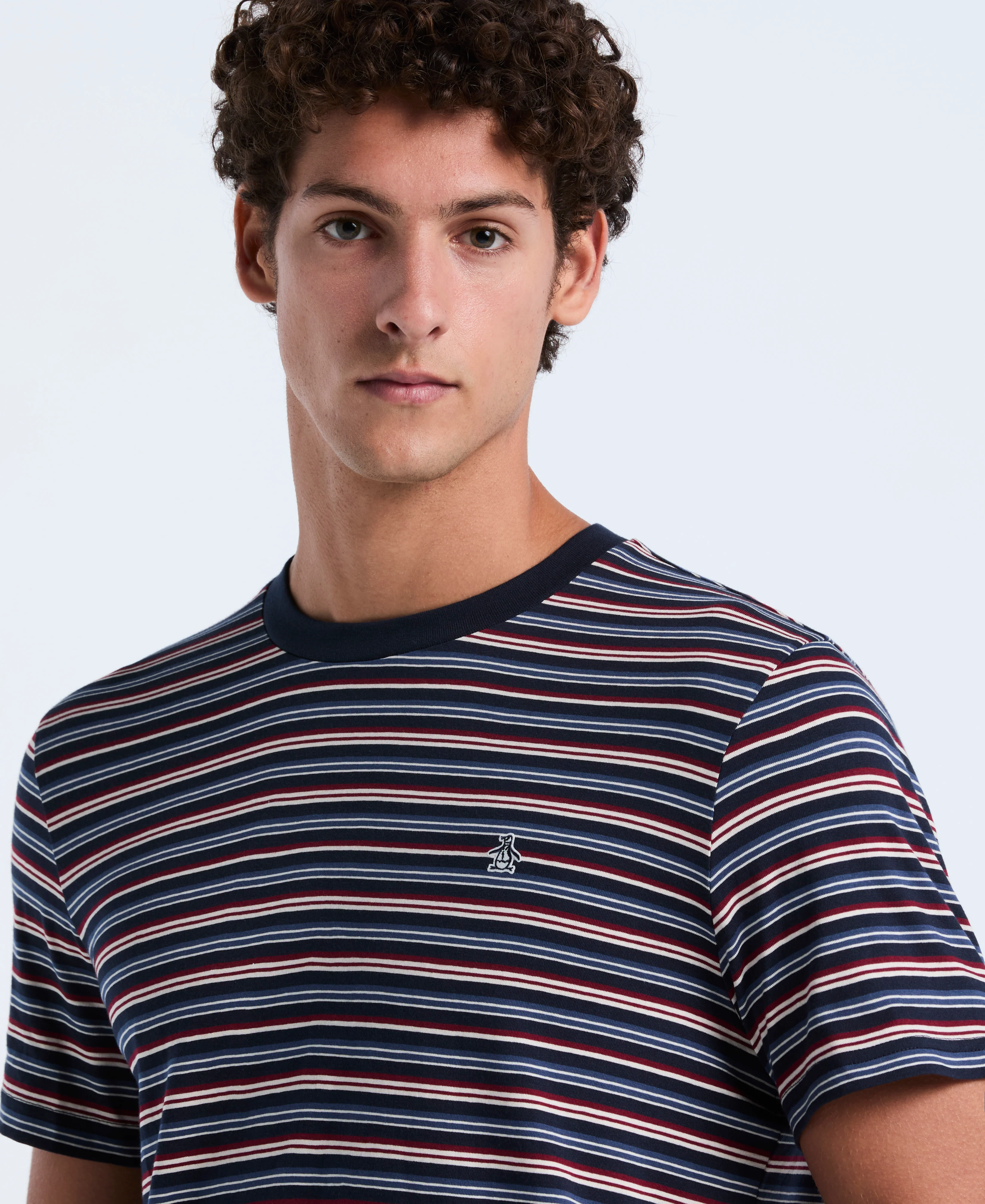 Cotton Yarn-Dyed Stripe Tee - Image 7