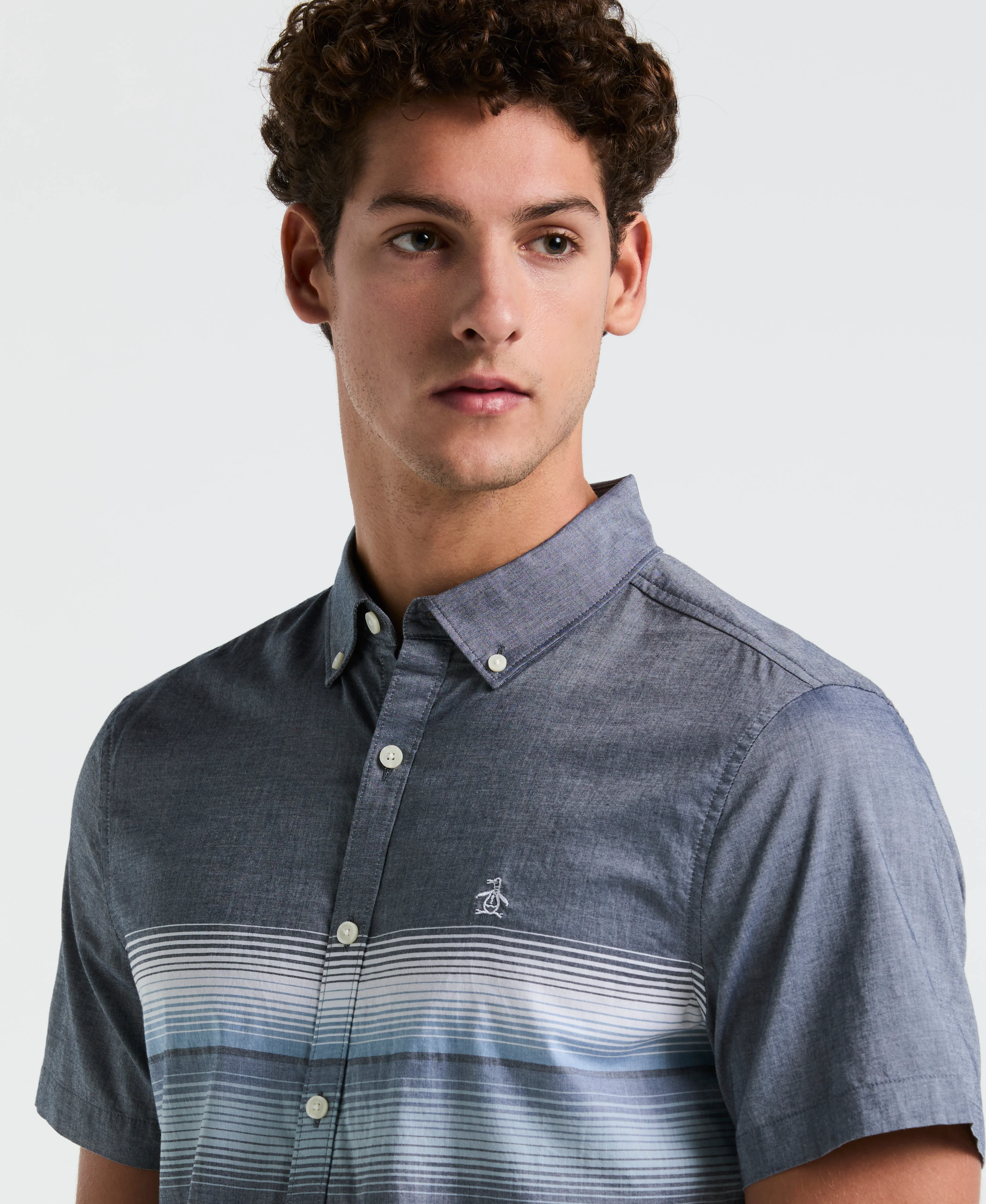 Lawn Gradient Stripe Shirt - Image 3