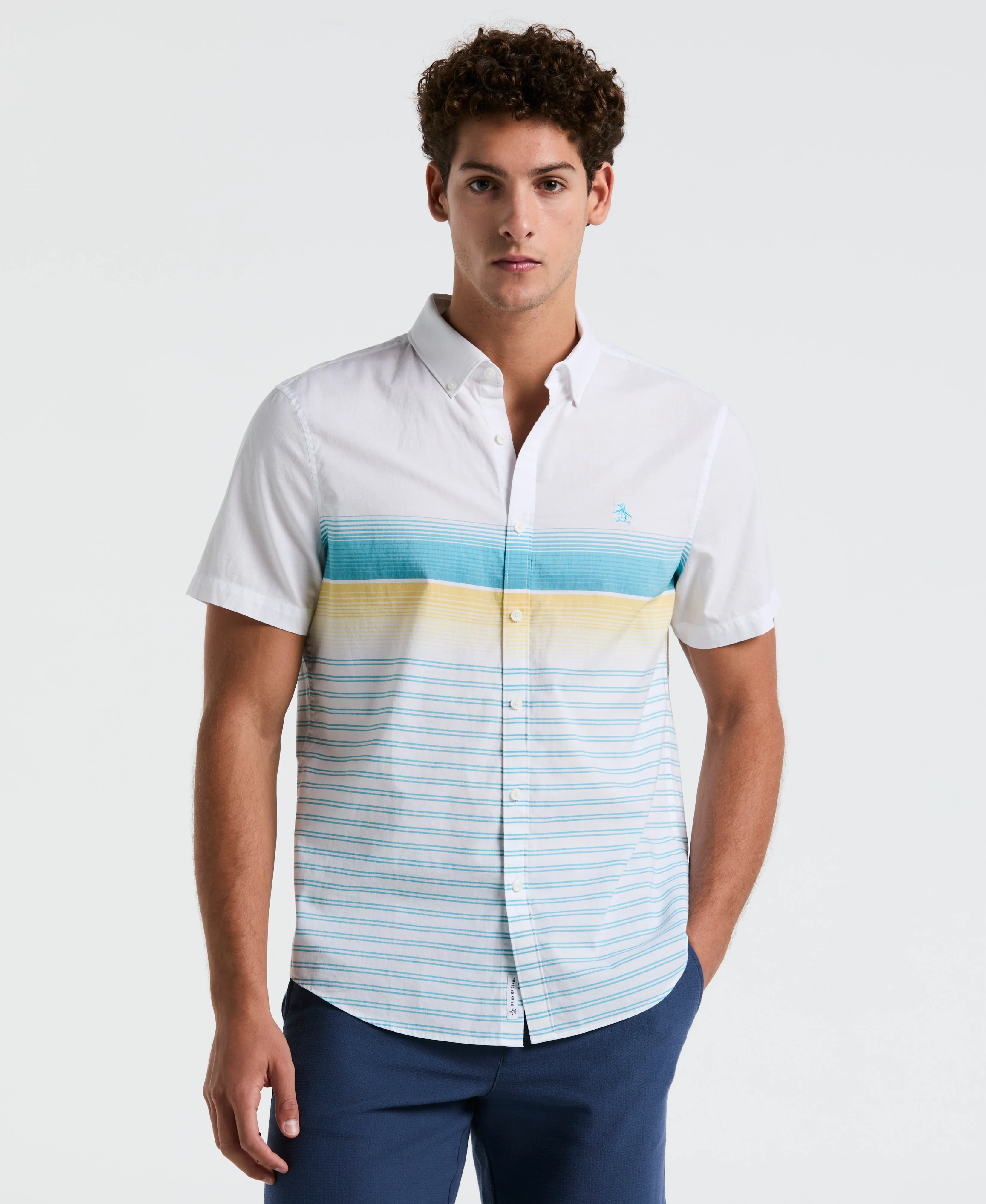 Lawn Gradient Stripe Shirt - Image 5