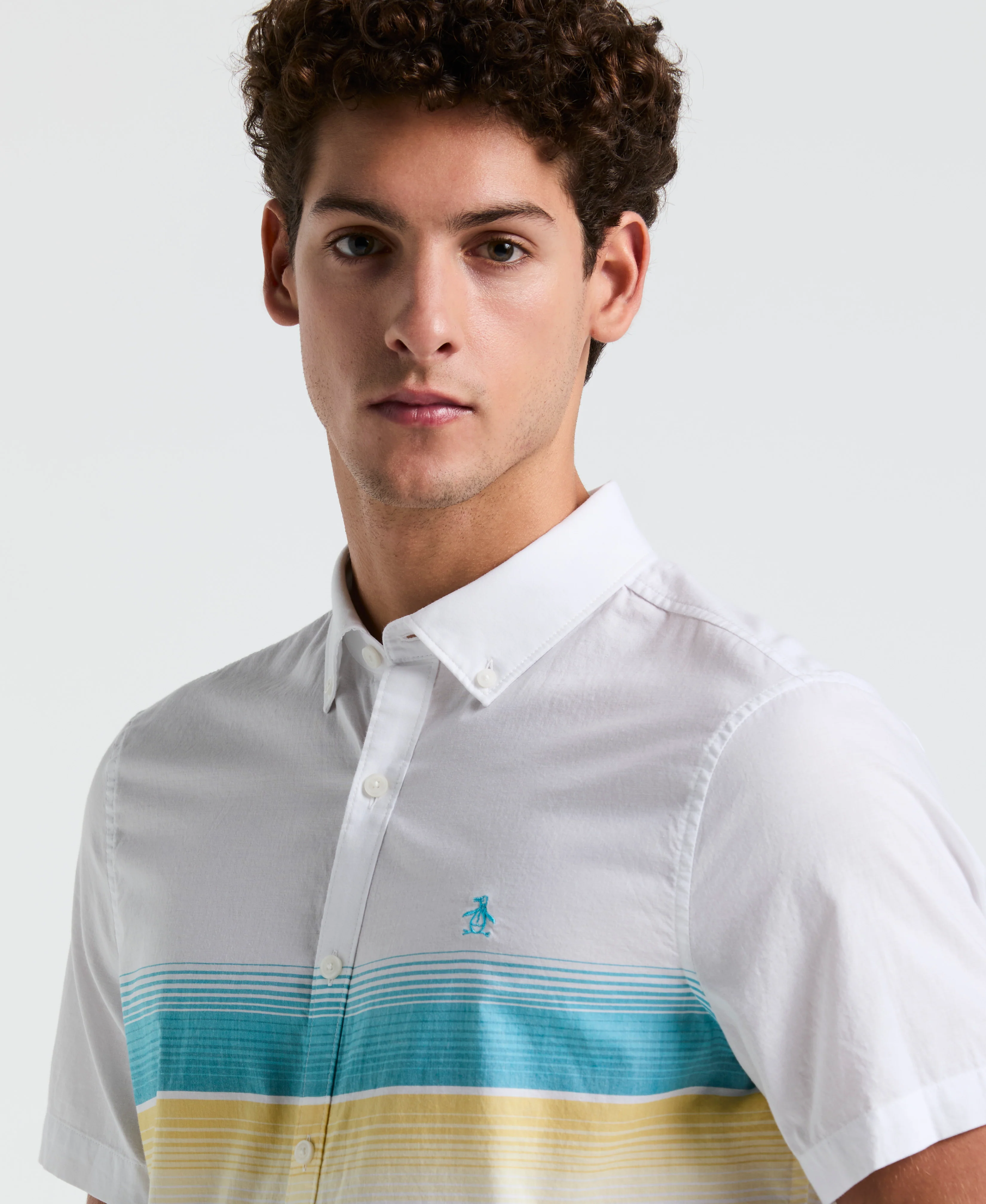 Lawn Gradient Stripe Shirt - Image 7