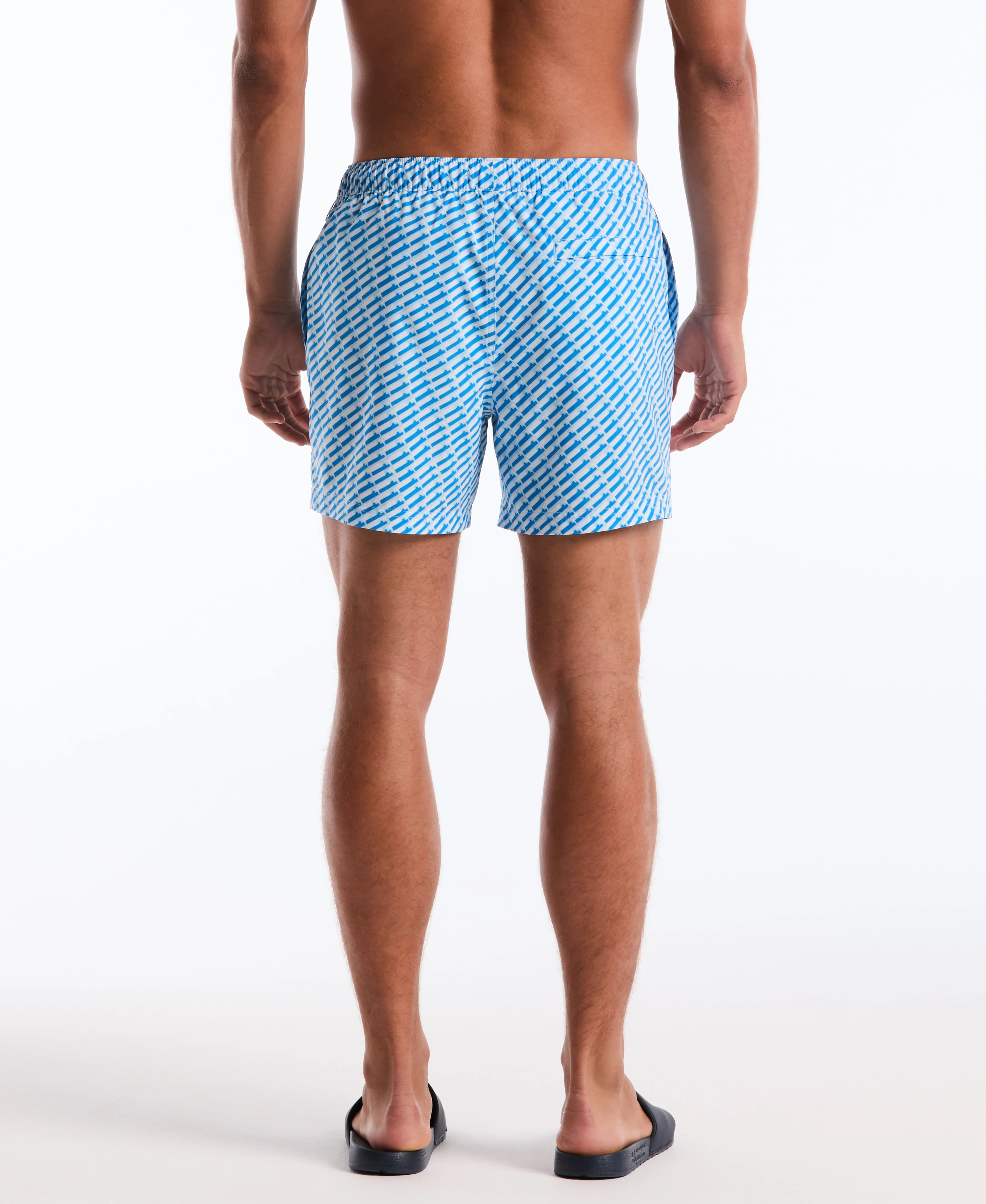 5" Box Line Geo Swim Short - Image 7