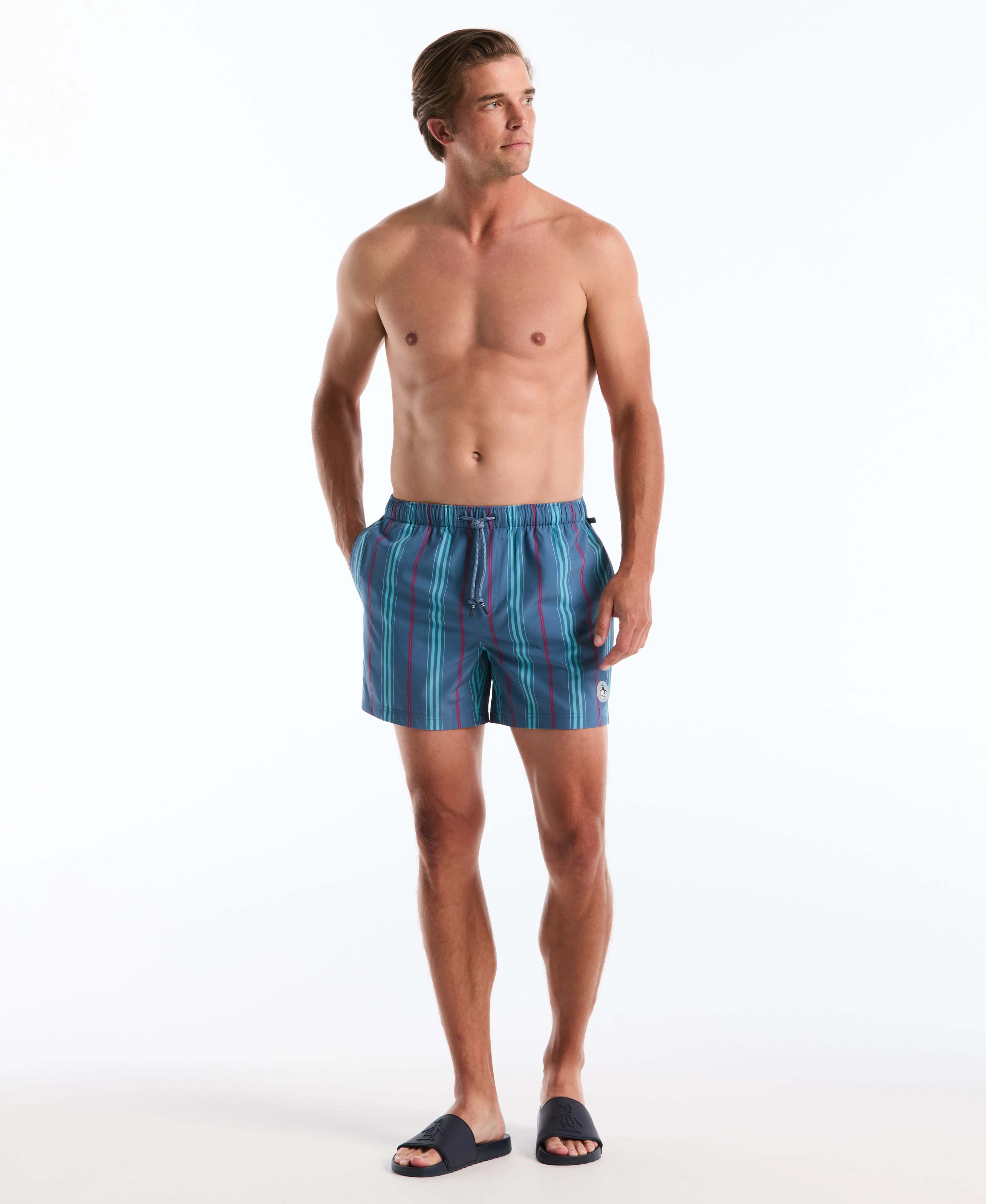 5" Box Stripe Swim Short