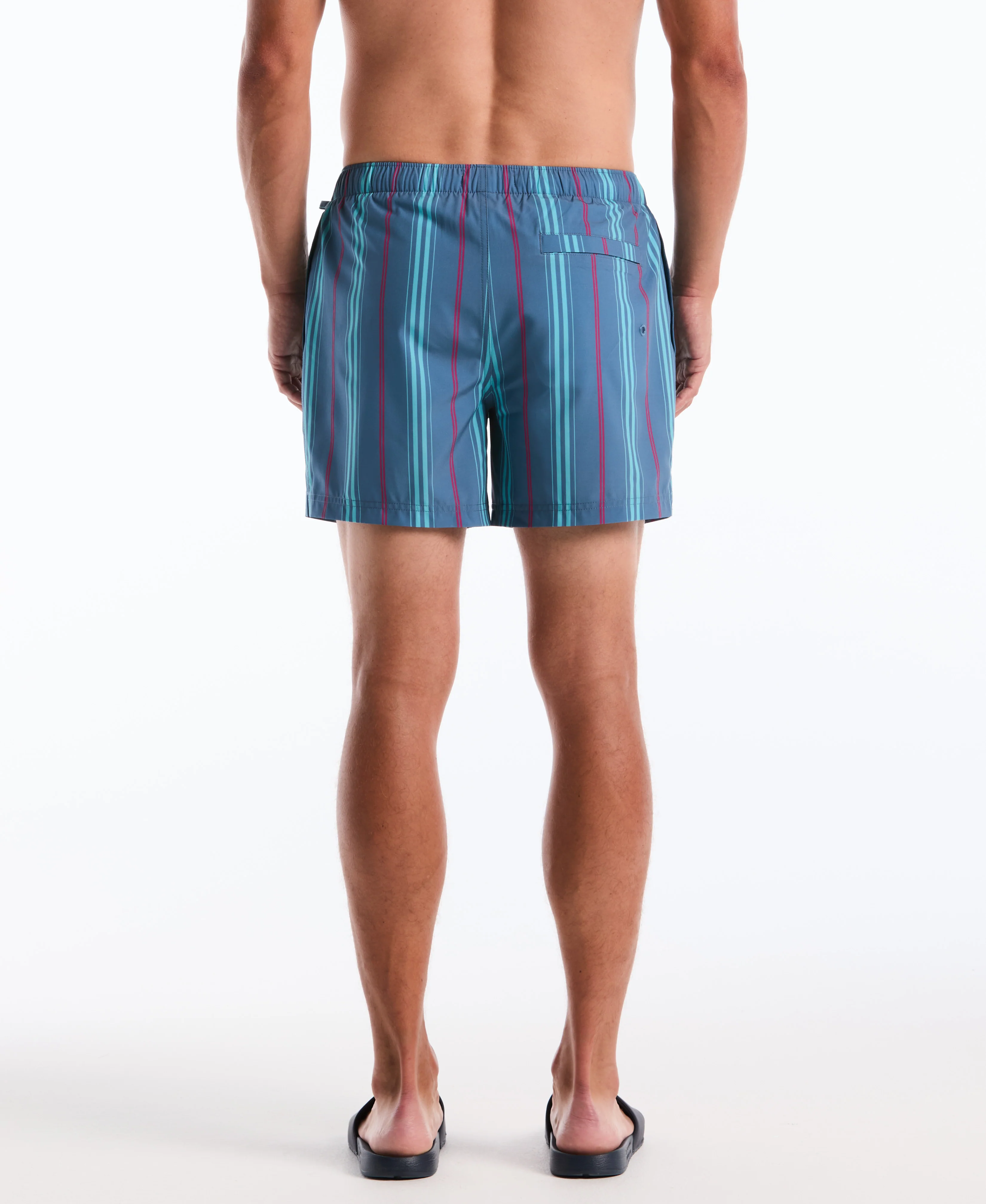 5" Box Stripe Swim Short - Image 2
