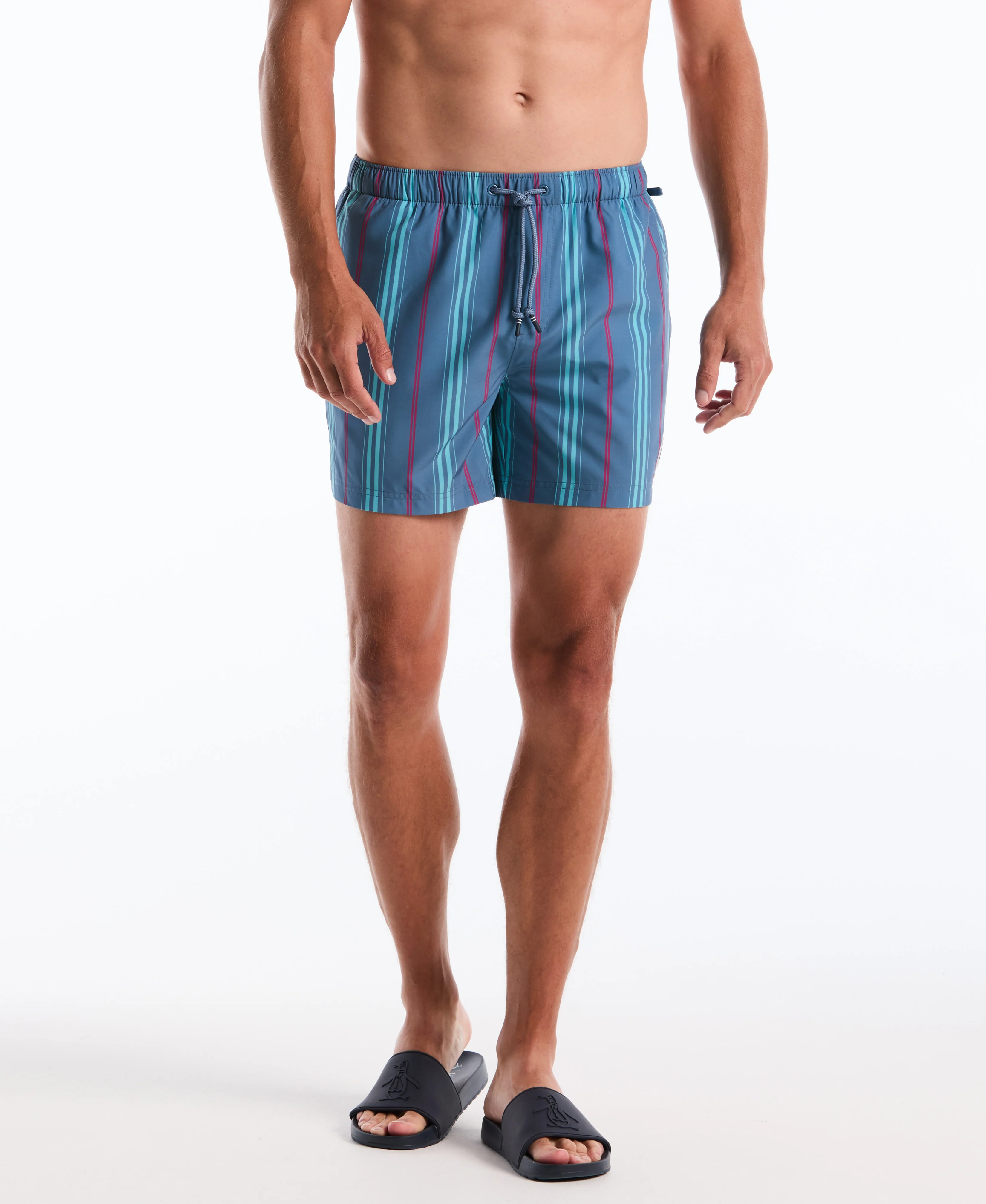 5" Box Stripe Swim Short - Image 3