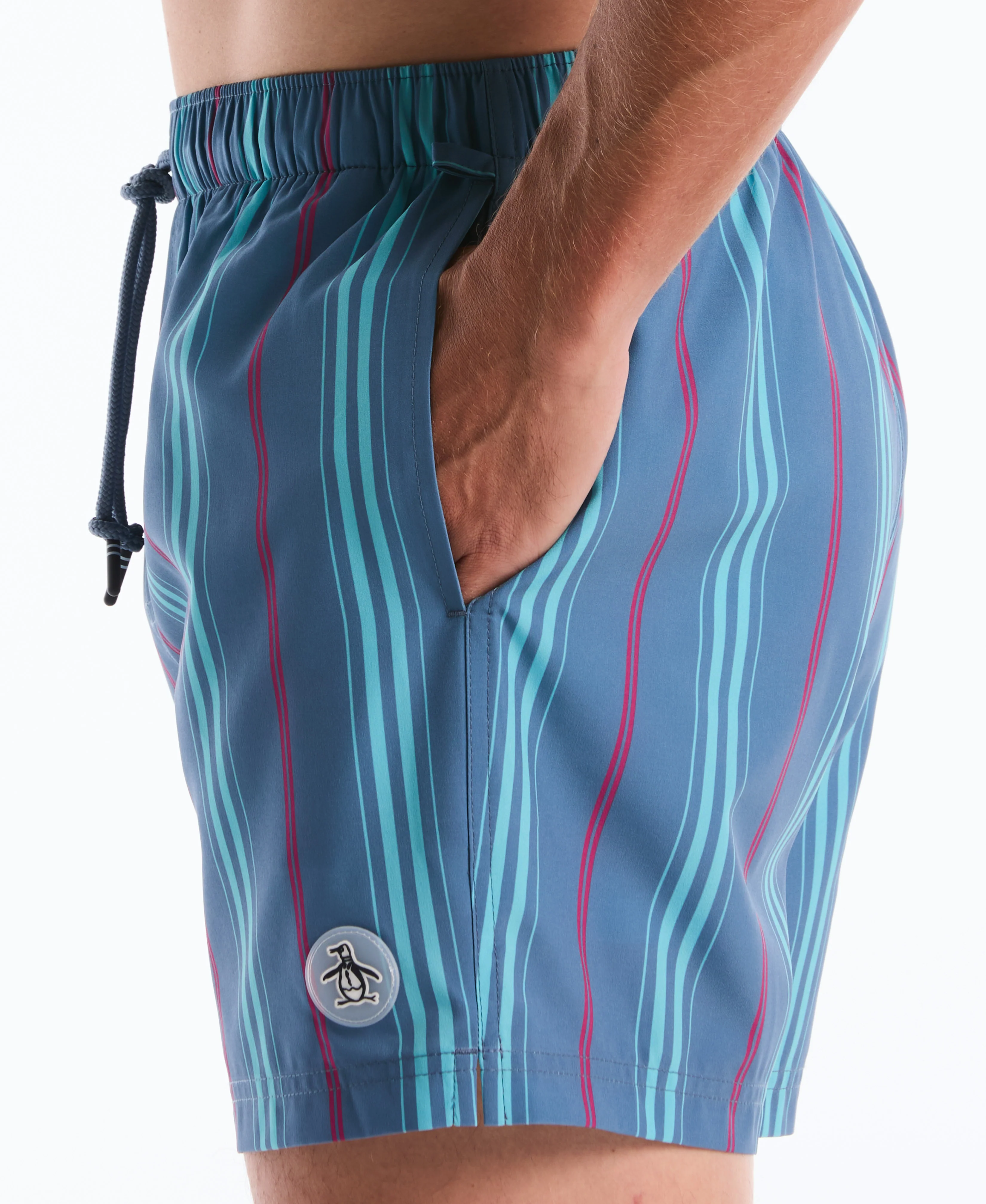 5" Box Stripe Swim Short - Image 4