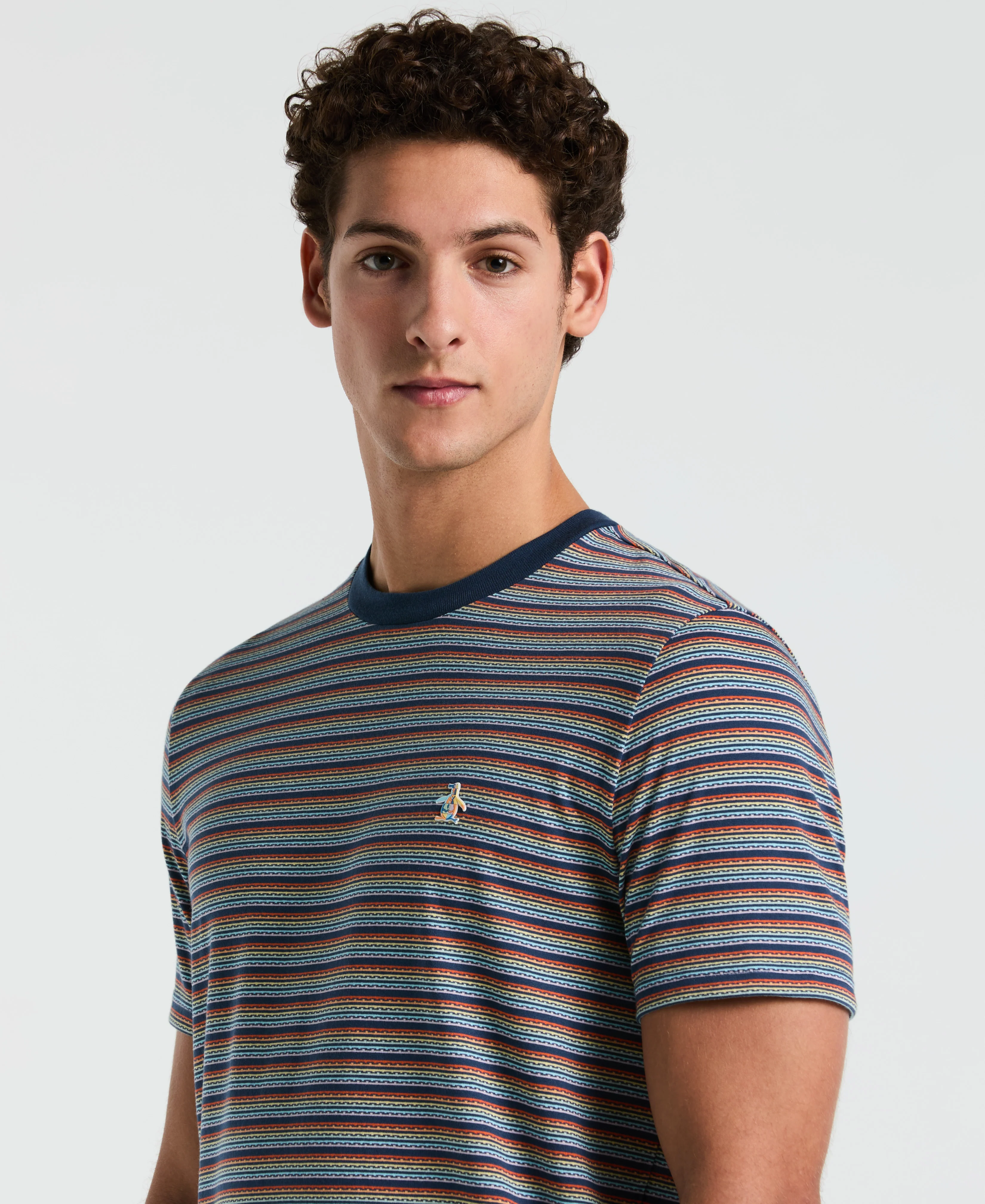 Jacquard Pride Stripe Tee - Image 3