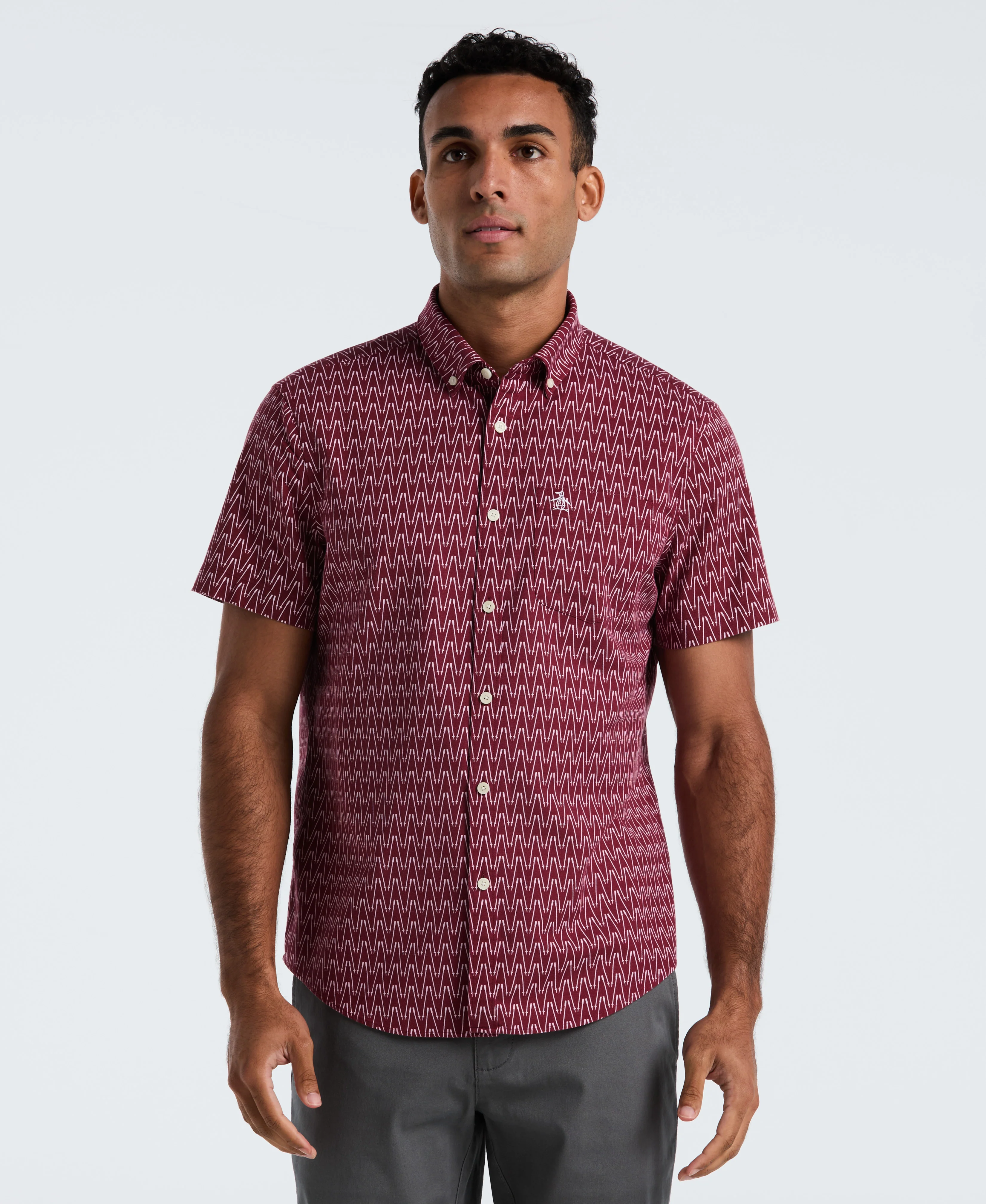 Ski Poles Oxford Shirt - Image 5